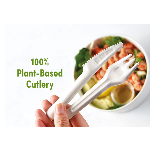 Bagasse Plant Based Disposable Spoon x 1000