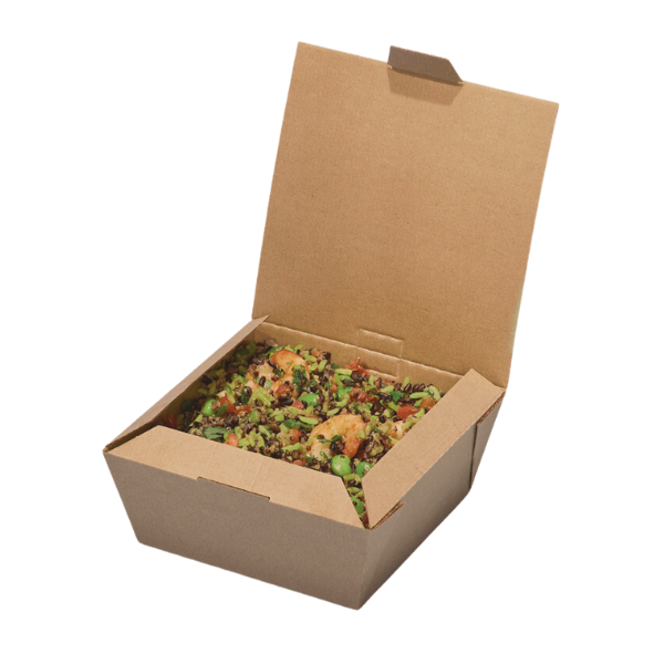 Medium Food to Go Takeaway Boxes - No Window Recyclable x 180