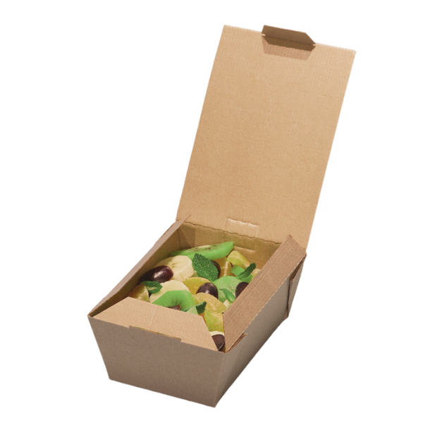 Small Food to Go Takeaway Boxes - No Window Recyclable x 100