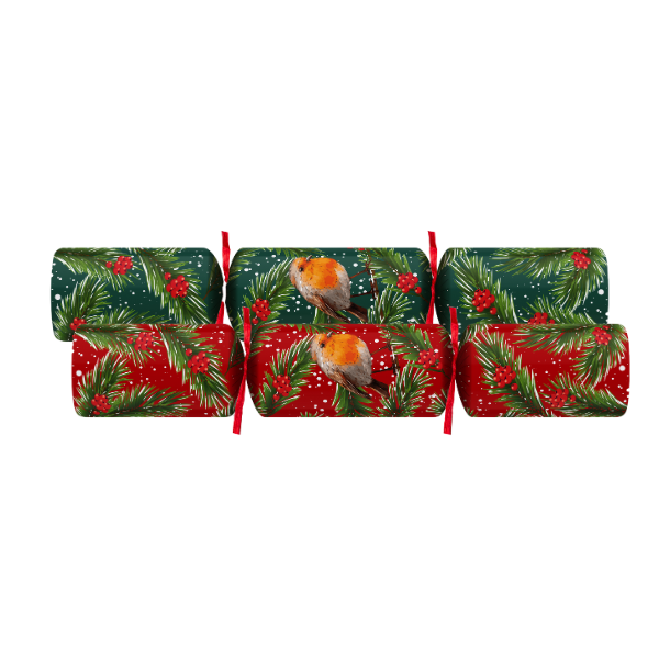 Christmas Crackers 11" Robin x 100