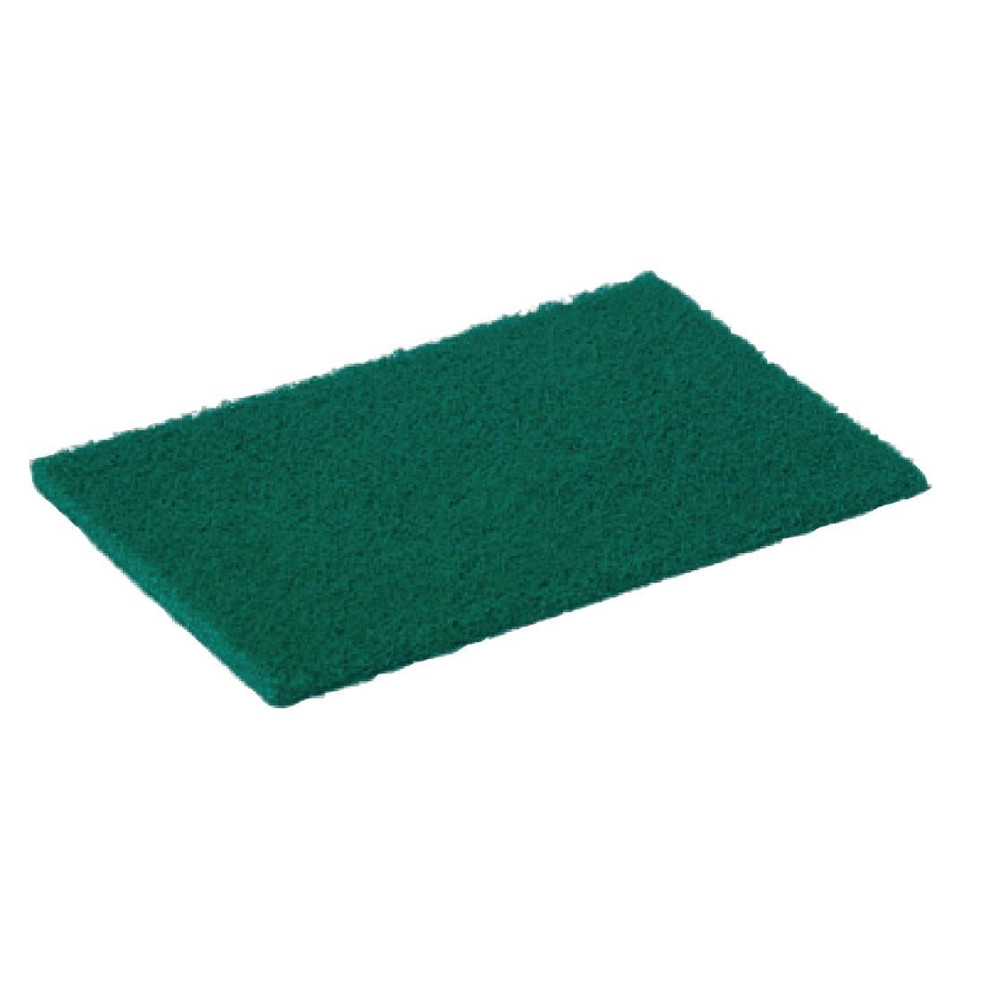 Scourer Green (Pack of 10)