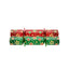 Christmas Crackers 9" Splendid Star x 100