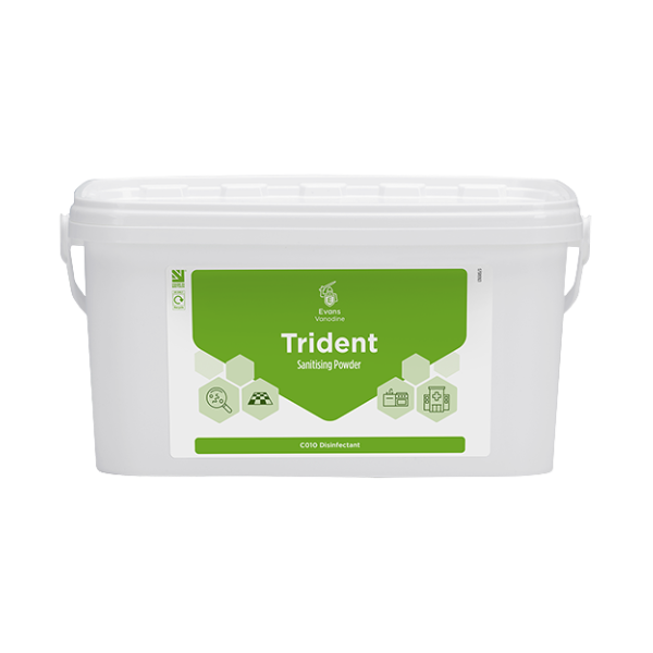 Trident Blue Sanitising Powder - 5kg